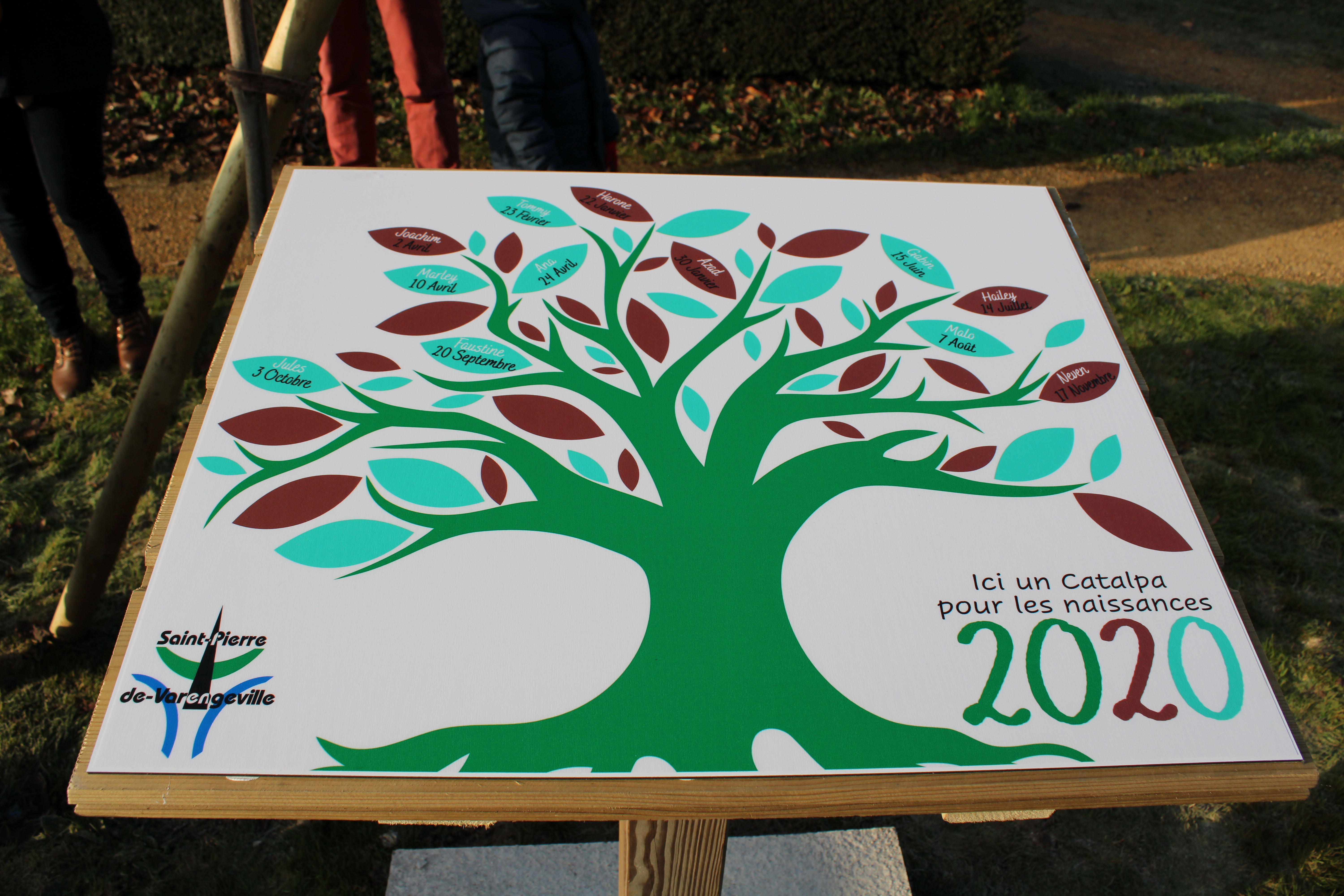 panneau naissance 2020 "un arbre, un enfant" à Saint-Pierre-de-Varengeville