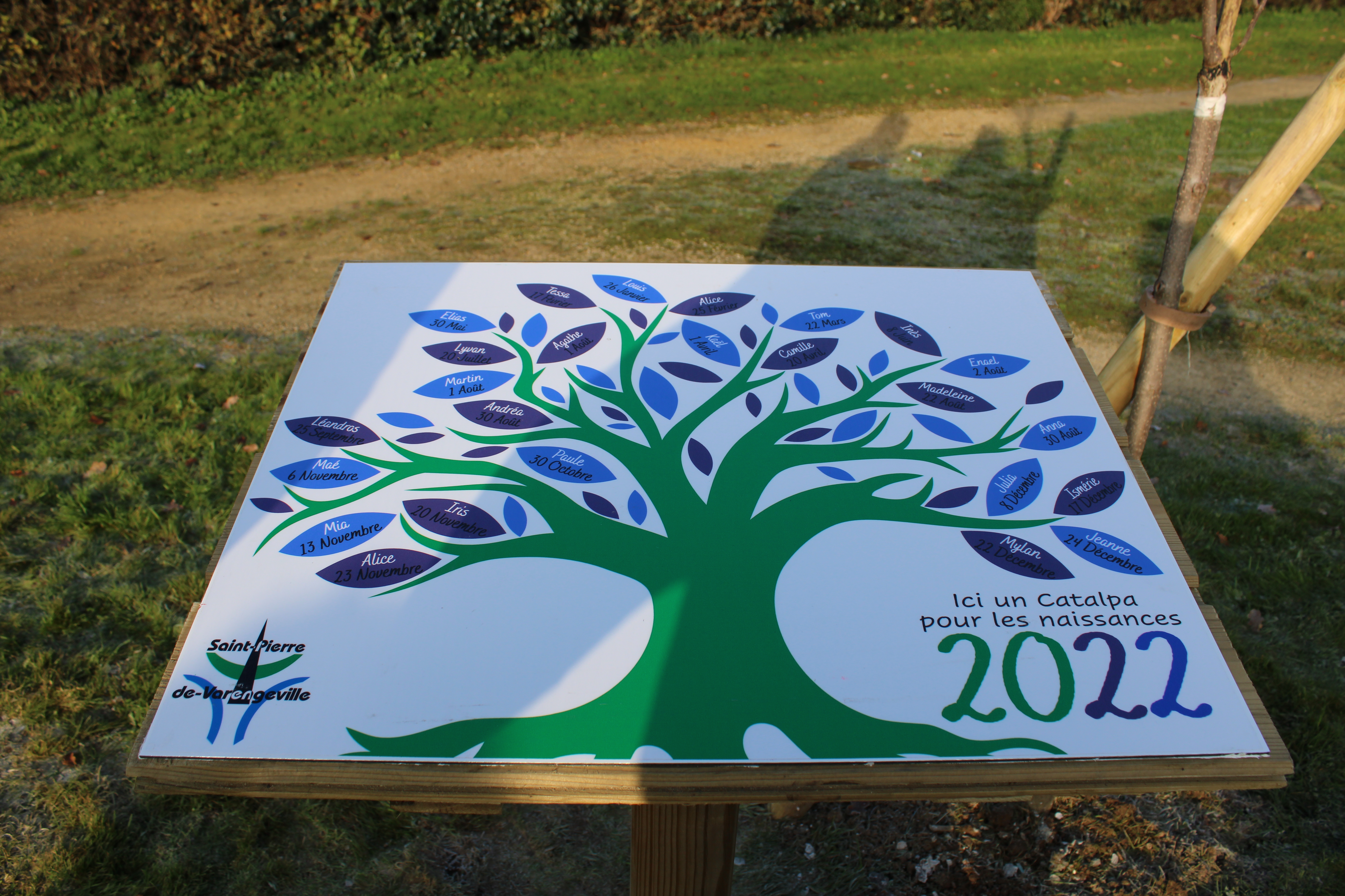 panneau naissance 2022 "un arbre, un enfant" à Saint-Pierre-de-Varengeville