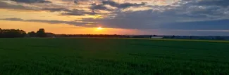 Les champs, le soir 