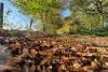 Chemin de Villers